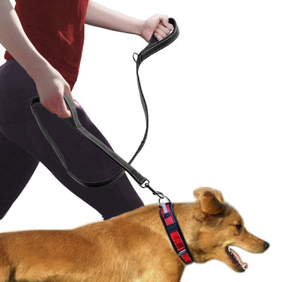 Pet Supplies