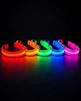 LED dog collars glowing in red, orange, green, blue and hot pink