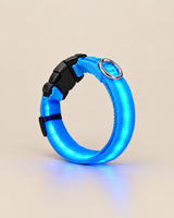 LED light-up dog collar glowing blue
